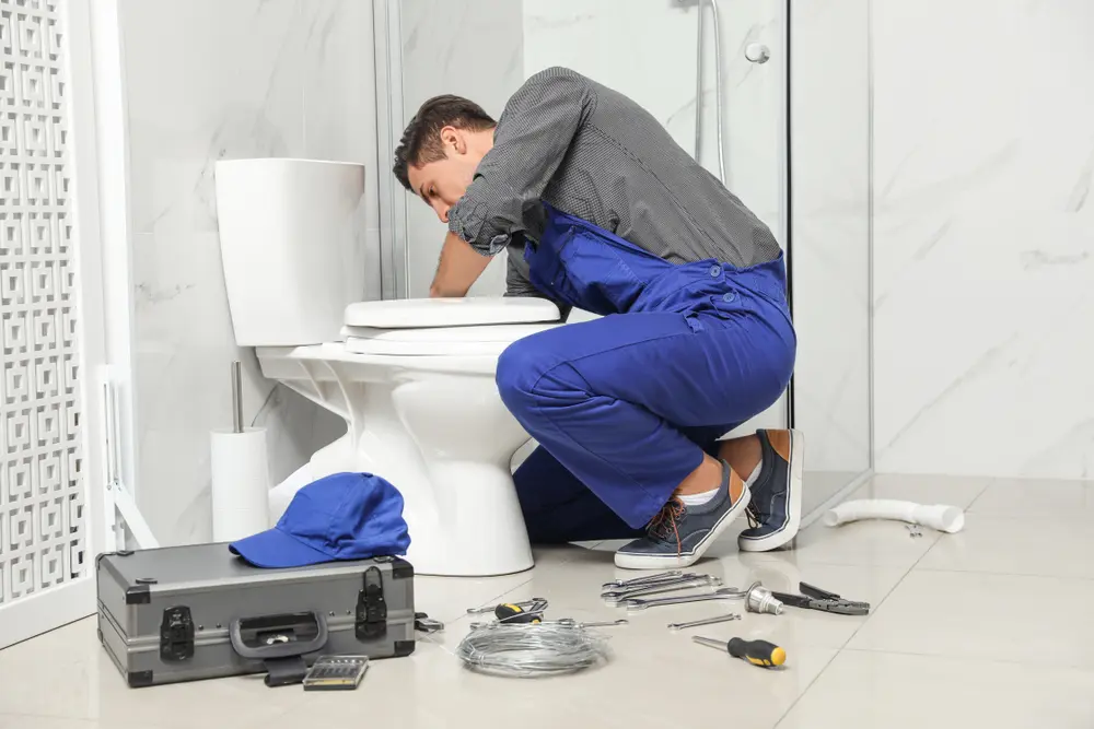 Toilet Installation in Sobieski